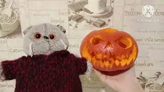 ХЭЛЛОУИНСКИЙ влог с Басиками 2023🎃😺