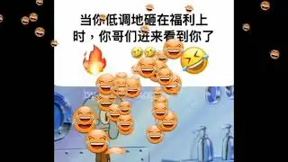 😂😂😂