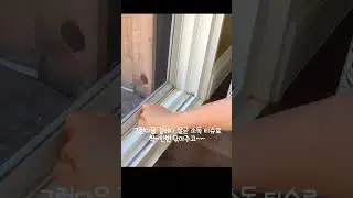 창틀 묵은먼지 청소 이렇게 하면 쉬워요