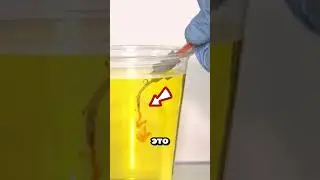 Революционная Мягкая Игла Меняет Будущее Медицины!