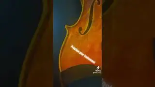 Orchestra ASMR: Practice your instrument… #music #asmr #motivation