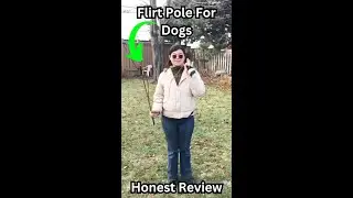 Honest Review of Flirt Pole for Dogs #fordog #dogplaying  #dogtoys