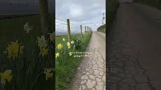Spring time on a farm🐣💐 #music #aesthetic #spring #farming #lambs #cute
