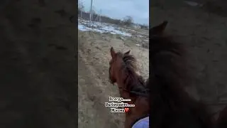 Если вы выбираете между кутежом, искусственным расслаблением и моментом СЕЙЧАС……выбирайте Жизнь! ❤️