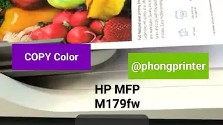 Test Copy Color HP MFP M179fw Printer (p4) @Phongprinter 