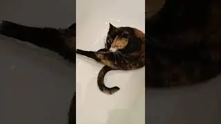 Элисса принимает ванну