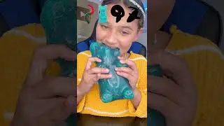 Sour Family GIANT Gummy Animal Challenge!