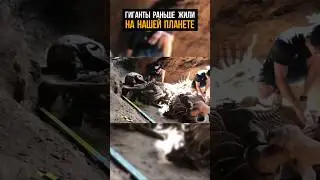 ПОЧЕМУ ОТ НАС СКРЫВАЮТ ЭТО🤯