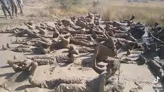 pakistan Army Training Video Pak Asf 48 basic training video Cammondo