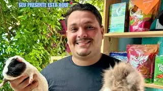 O fim do nosso canal? Entenda como tá o mercado de roedores hoje em dia!