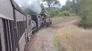 4708 and 5917 from Nambucca Heads to Maitland