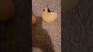 Pac Man VS  Annoying Orange