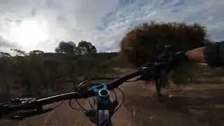 Newly Redone Evolution Sessions