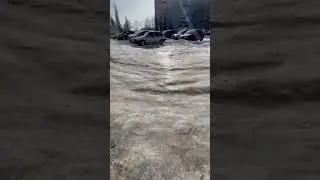 10 февраля 2024 г.