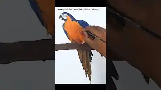 Realistic Parrot Painting in Acrylic । Artist : Supriyo@PaintAcademy