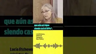 Etcheverry: “Cambiar la movilidad en el área metropolitana es un compromiso del gobierno”