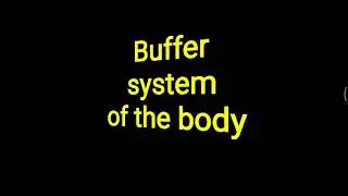 Buffer system of Body