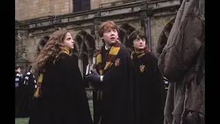 Igor Potov 6 Harry Potter