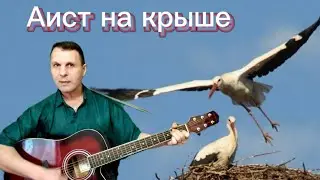 Аист на крыше - кавер на гитаре
