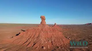 Valley of the Gods Sunset Tour By Wild
