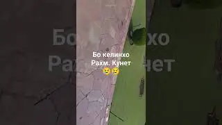 Хочи Мирзо
