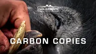CARBON COPIES - Bowhunting Basalt Boars, Australia - Official Film - Twin Elements