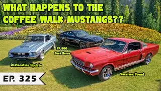 What Happens to the Coffee Walk Mustangs??