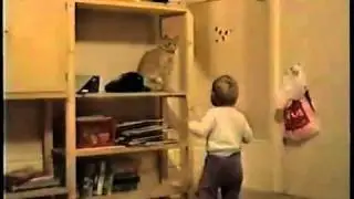 У кота разговор короткий