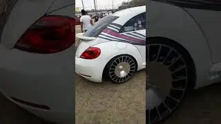Beetle MARTINI   FacebookMáxima Velocidad TVMX TiktokMÁXIMA VELOCIDAD TVMX