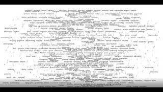 Keyword Lexicon - A Guided Tour