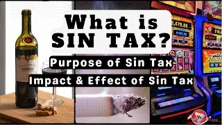 What is Sin Tax? Definition of Sin Tax | Examples of Sin Tax | Sin Tax Explained Budget Speech 2025