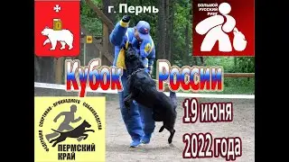 БРР Кубок России 2022