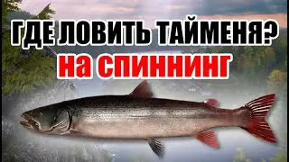 ЛОВИМ ТАЙМЕНЯ НА ТУНГУСКЕ • РР4 СТРИМ • РУССКАЯ РЫБАЛКА 4