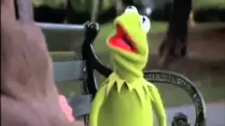 Kermit the Frog: You are 100 Percent Wrong
