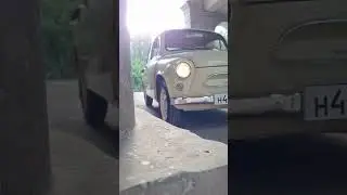 Истину глаголит)