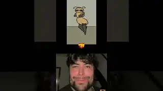 Рэдкі дудл і Рэдкі дудл Агаё 