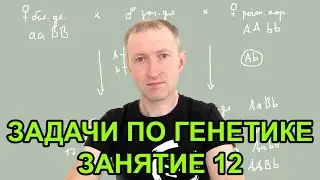 Задачи по генетике - 12. Сцепление генов