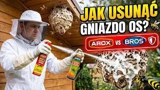 Likwidacja gniazda os - gaśnice i usuwanie