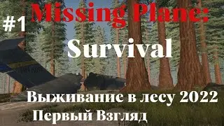 Missing Plane:Survival #1 - обзор - выживание в лесу 2022