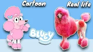 bluey Characters IN REAL LIFE 💥