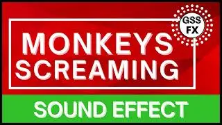 Monkeys Screaming Sounds ,Monkeys Screaming Sound fx ,Monkeys Screaming Sound effects