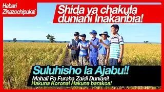 [Swahili 스와힐리어] Shida ya chakula duniani Inakaribia! Suluhisho la Ajabu!! Doalnar Oasis Farm
