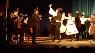 A Magyar Állami Népi együttes Beregszászban 2013