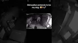Skinwalker Pretends to be Dog
