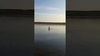 Рыбалка на муть!!! 🐡 И снова Макс) 