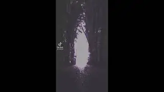 FreeVideo