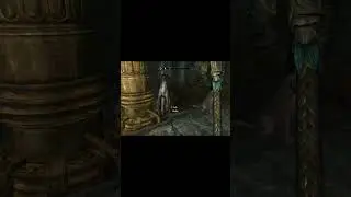 What Are You Thinking Barbas?! 🐕  #Skyrim #Funny #Gaming