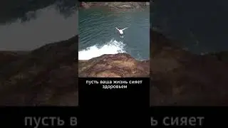 Что посеешь, то и пожнешь!