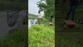 Адаптация не нужна! Сом активен!