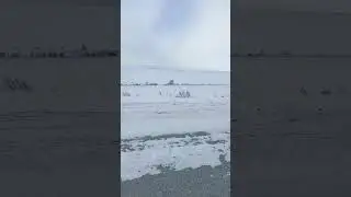 лаборовая Ямал